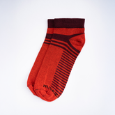Athletic Stripe - Burgundy / Red